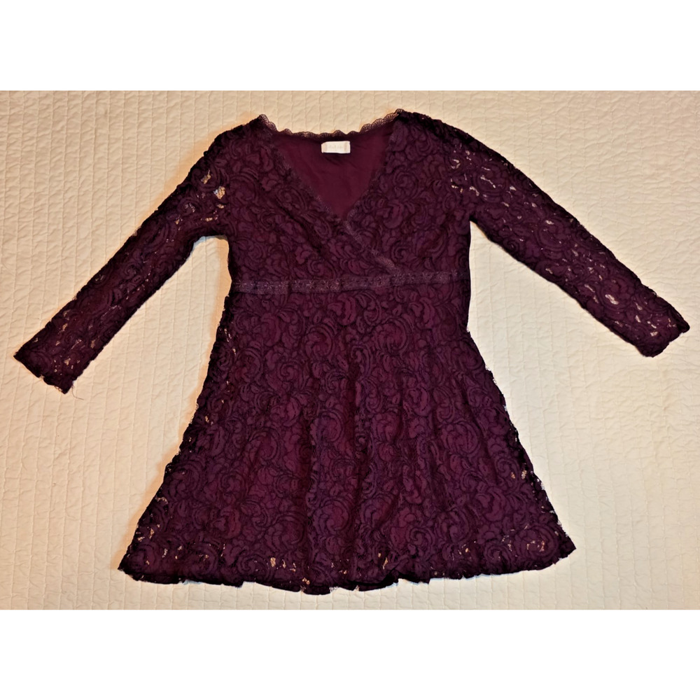 Altar’d State Lace Dress L V-Neck Long Sleeve Flowy Party Cocktail Wedding